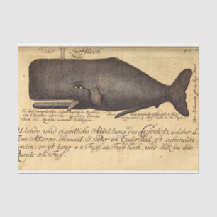 Vintage Whale Script Ephemera Decoupage Nautical Tissue Paper