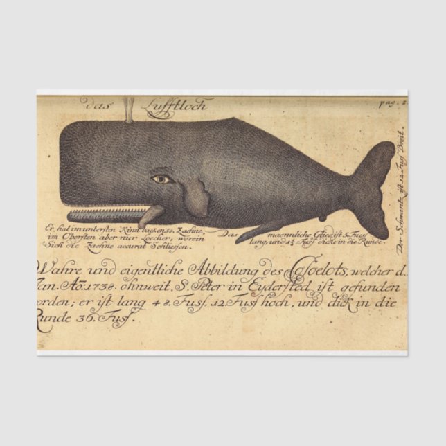Vintage Whale Script Ephemera Decoupage Nautical Tissue Paper (Front)