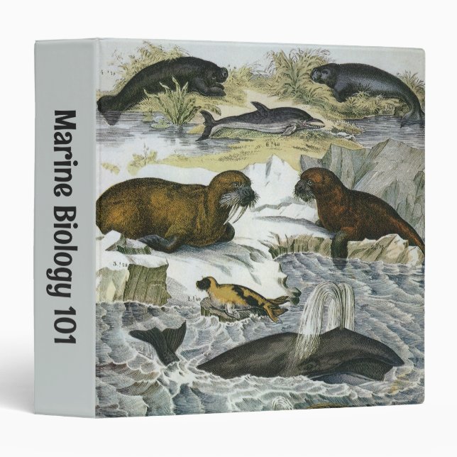 Vintage Whales, Seals and Walruses, Marine Animals Binder (Front/Spine)