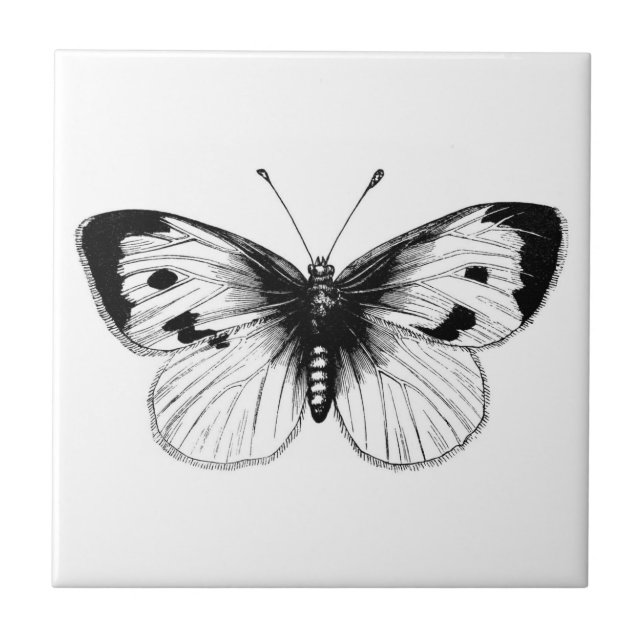 Vintage White Cabbage Butterfly Illustration Tile (Front)