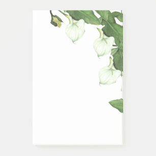 Vintage White Calla Lily Flowers Post-it Notes