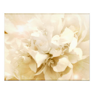 Vintage White Dahlia Flower Floral Photo Print