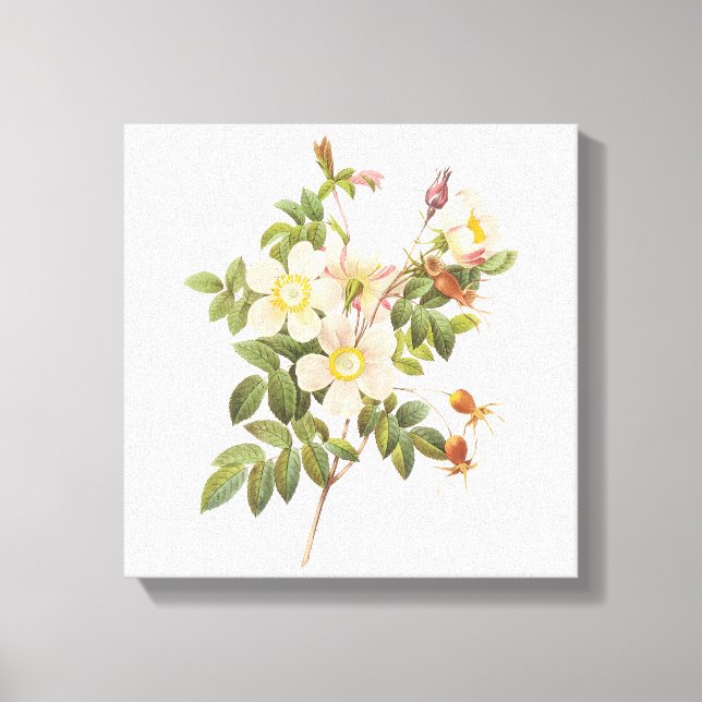 Vintage White Flowers Wrapped Canvas Print (Front)