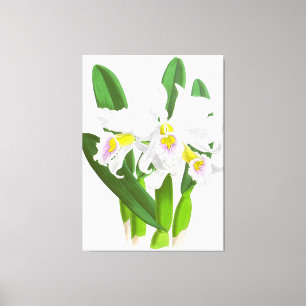 Vintage White Orchid Flower_GA - Canvas Print