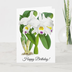 Vintage White Orchid Flower Personalized Card