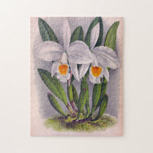 Vintage White Orchids Cattleya Virginalis Lindenia Jigsaw Puzzle