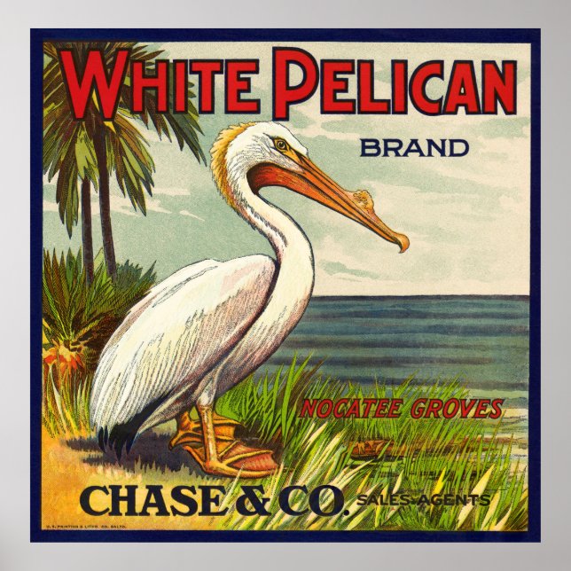 VINTAGE WHITE PELICAN FRUIT PACKING CRATE LABEL POSTER (Front)