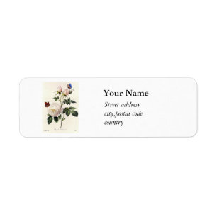 Vintage white rose flowers, butteflies