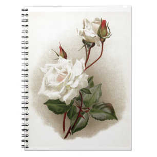 Vintage White Rose Notebook