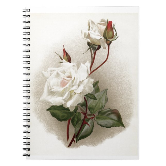Vintage White Rose Notebook (Front)