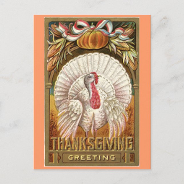 Vintage White Thanksgiving Turkey Holiday Postcard (Front)