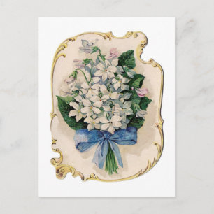Vintage White Violets Invitation Postcard