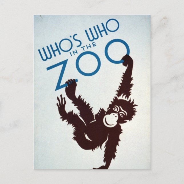 Vintage Whos Who in the Zoo Monkey Postcard (Front)