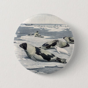 Vintage Wild Animals, Artic Harbour Seals Icebergs 2 Inch Round Button
