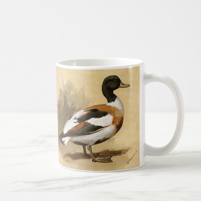 Vintage Wild Animals Birds, Mallard Duck Coffee Mug (Right)