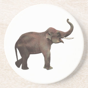 Vintage Wild Animals, Good Luck Asian Elephants Coaster