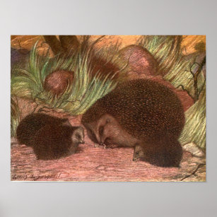 Vintage Wild Animals, Hedgehogs by Louis Sargent Poster