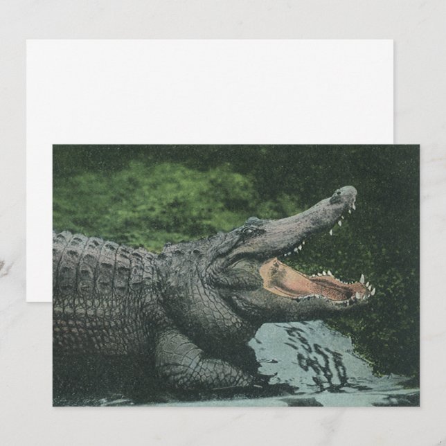 Vintage Wild Animals Reptiles Crocodile Invitation (Front/Back)