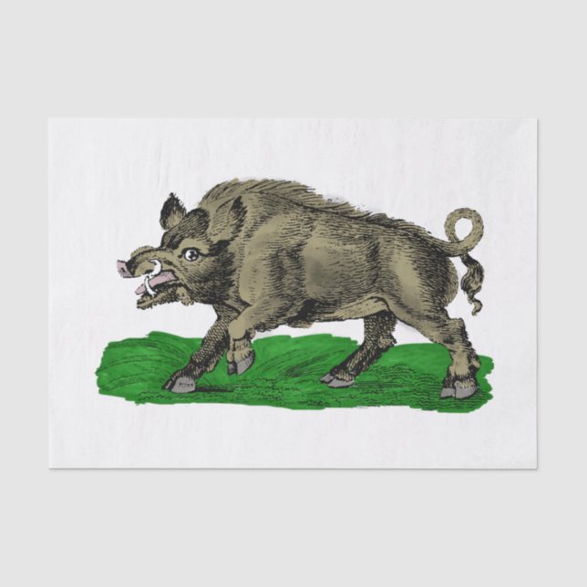 Vintage Wild Boar Drawing BW #3C Tissue Paper (Front)