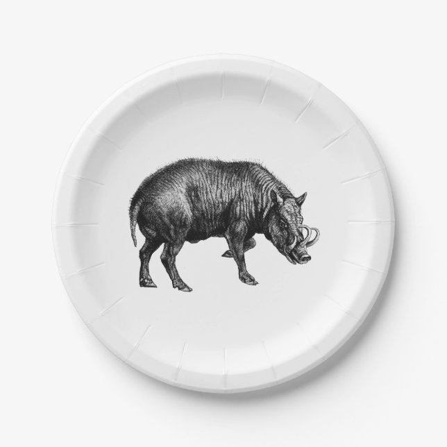 Vintage Wild Boar Drawing BW Paper Plate (Front)