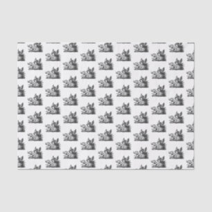 Vintage Wild Boar Head Drawing BW Tissue Paper