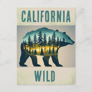 Vintage Wild California Bear Travel Postcard