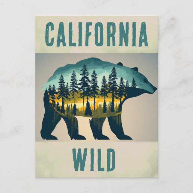 Vintage Wild California Bear Travel Postcard (Front)