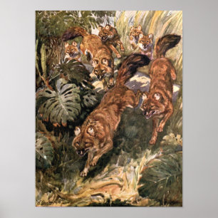 Vintage Wild Dogs, Dholes by Winifred Austen Poster