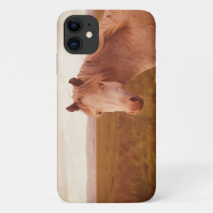 Vintage wild horse iPhone 11 case