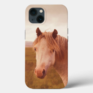 Vintage wild horse Case-Mate iPhone case