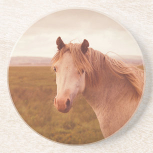 Vintage wild horse coaster