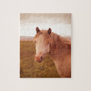 Vintage wild horse jigsaw puzzle