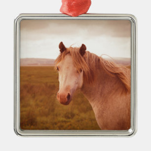 Vintage wild horse metal ornament