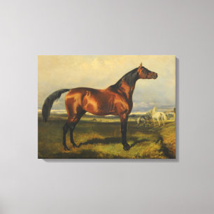 Vintage Wild Horses by Alfred de Dreux Canvas Print