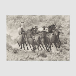 Vintage Wild Horses Tissue Paper