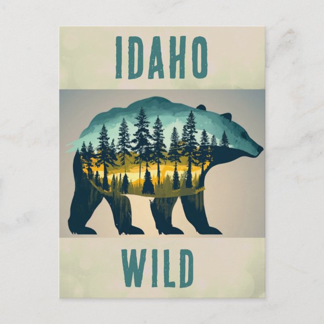Vintage Wild Idaho Bear Travel Postcard (Front)