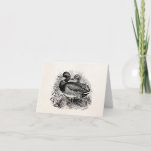 Vintage Wild Mallard Ducks Personalized Template