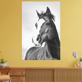 Vintage Wild Spirited Horse Black and White Canvas Print