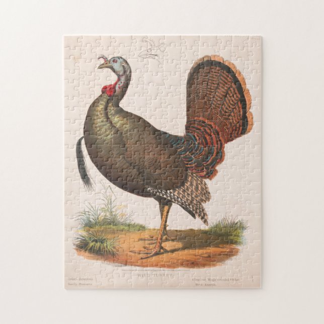 Vintage Wild Turkey Illustration (1872) Jigsaw Puzzle (Vertical)