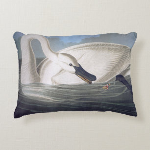 Vintage Wild White Trumpeter Swan Accent Pillow