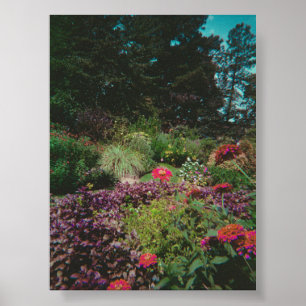Vintage Wildflower Garden Poster