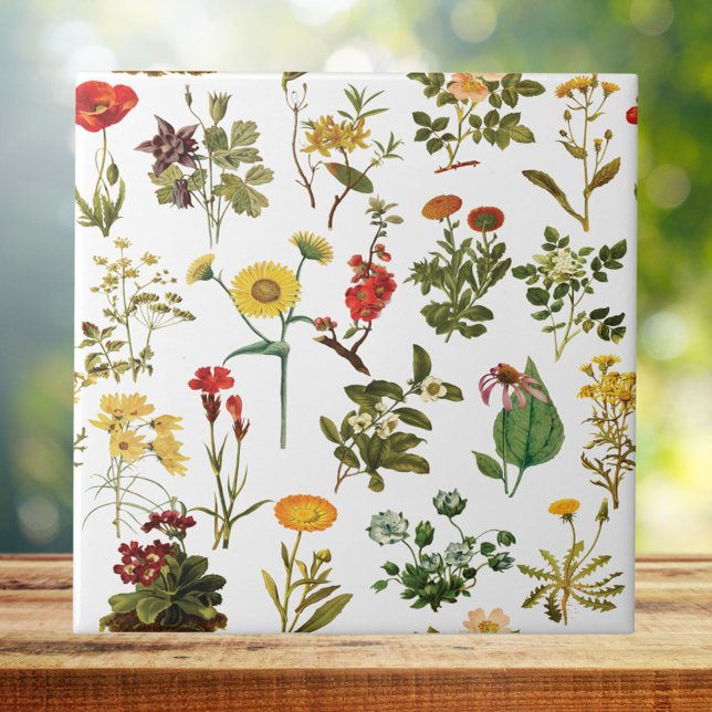 Vintage Wildflower Seamless Pattern Tile (Creator Uploaded)