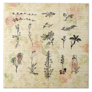 Vintage Wildflowers Floral Script Art Tile