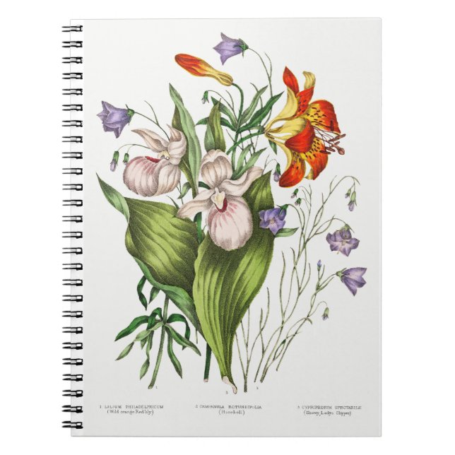 Vintage Wildflowers Notebook  (Front)