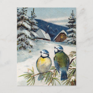 Vintage Winter Birds Postcard