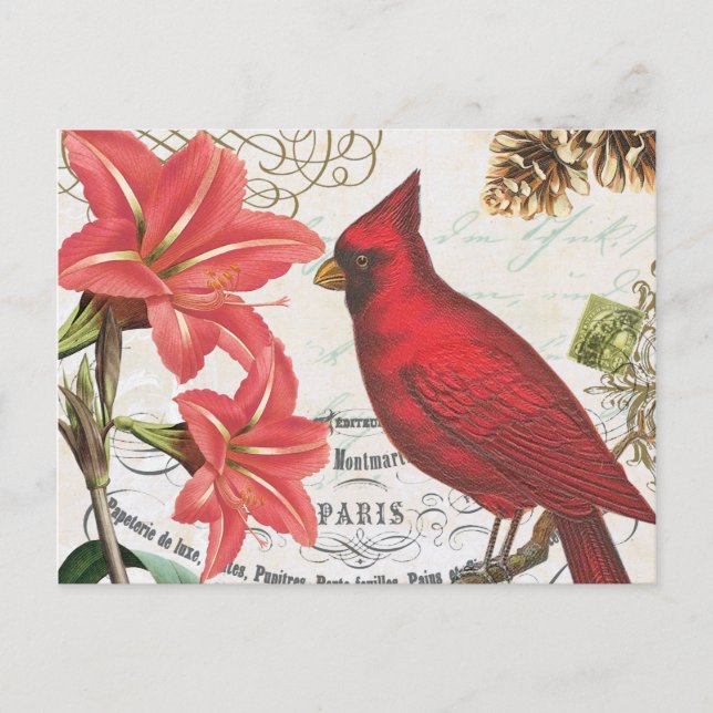vintage winter cardinal postcard (Front)