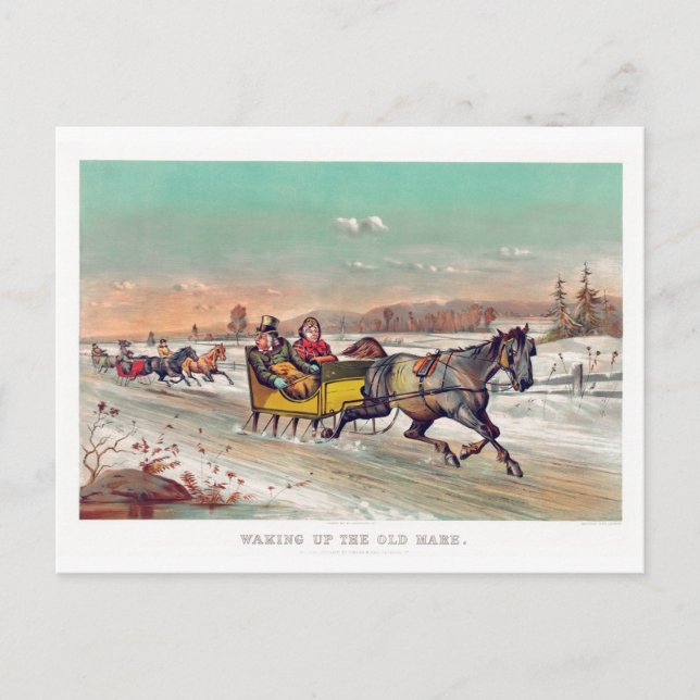 Vintage Winter Christmas Sleigh Postcard (Front)