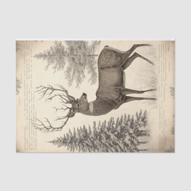 vintage Winter Deer Tissue Paper (Front)