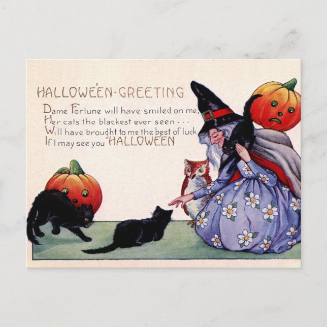 Vintage Witch Black Cat Owl Halloween Postcard (Front)