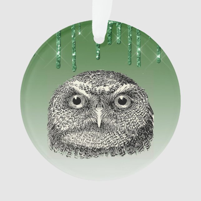 Vintage Woodford Owl Green Glittery Ornament (Front)